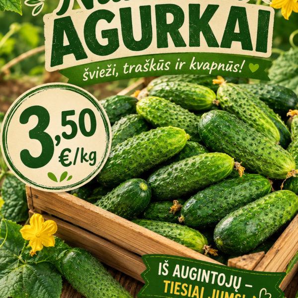 Agurkai Švieži