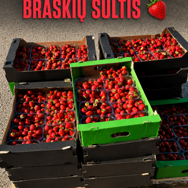 Braškių sultys